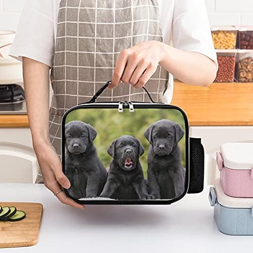 Taşınabilir Erkek Öğle yemeği soğutucu çanta Yalıtımlı Sızdırmaz Sevimli Siyah Labrador Retriever Yavru Soğutucu Çanta Öğle Yemeği