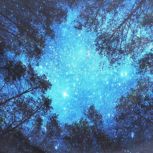 Orman Yıldızlı Goblen Duvar Asılı 3D Baskı Orman Goblen Galaxy Goblen Orman Samanyolu Goblen Ağacı Goblen Gece Gökyüzü Goblen