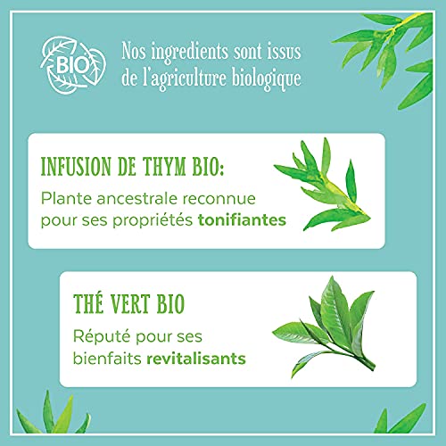 Le Petit Marseillais Organik Kekik ve Yeşil Çay Detoks İnfüzyon Kremi, 250 ml şişe