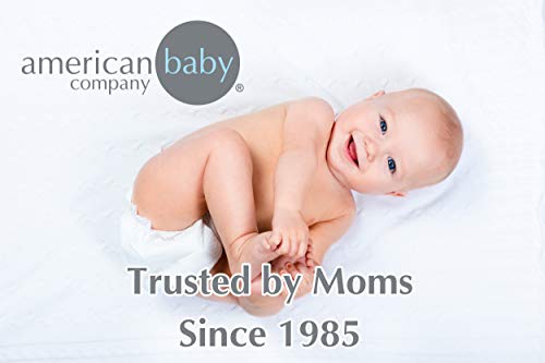 Amerikan Bebek Şirketi 100 % Doğal Pamuk Değeri Jersey Örme Gömme Taşınabilir / Mini-Beşik Levha, Nane, Yumuşak Nefes, Erkek