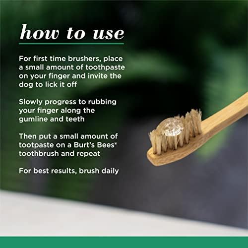 Burt's Bees for Dogs Care+ Nane Yağı ile Köpek Diş Malzemeleri - Doğal Köpek Diş Macunu, Köpek Diş Fırçalama Seti, Bambu Köpek
