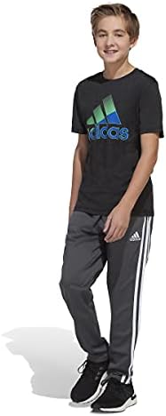 adidas Erkek Çocuk Kısa Kollu Nem Emici Boss Logo T-Shirt