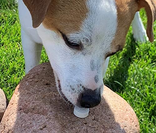 Essential Pet Yetişkin Köpek Kalça ve Eklem Desteği Çiğnenebilir Tablet Yaş 3+ 500mg Glukozamin ve 200mg Kondroitin (23038)ile