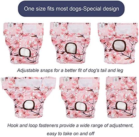 CuteBone köpek bezi Kadın Kullanımlık 3 Paketi için Doggie ısı, yıkanabilir Köpek pantolon