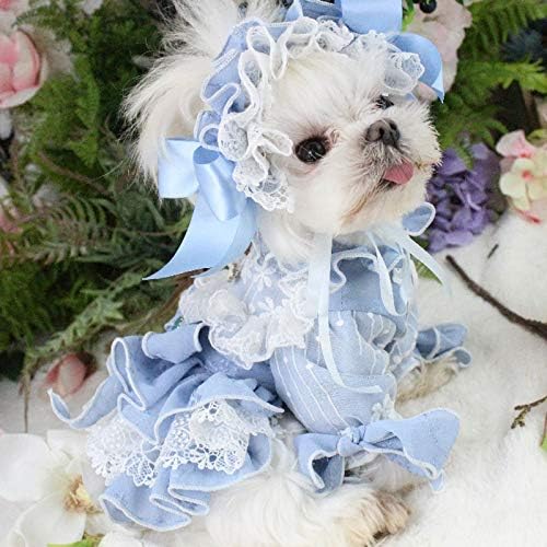 FEGOCLT Pet Köpek Elbise Kediler Köpek Prenses Elbiseler Etek Parti Giyim Pet Köpek Elbiseler Nakış