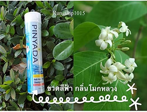 Havılah Ekstra Set Pinyada Anti-Saç Dökülmesi Şampuanı Mok Luang Holarrhena Koku 300 Banyo ve Çiçek Limon Nane Kremi 250 ML DHL