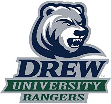 NCAA Drew Üniversitesi Rangers PPDREW04 Unisex Çeyrek Fermuarlı Sweatshirt