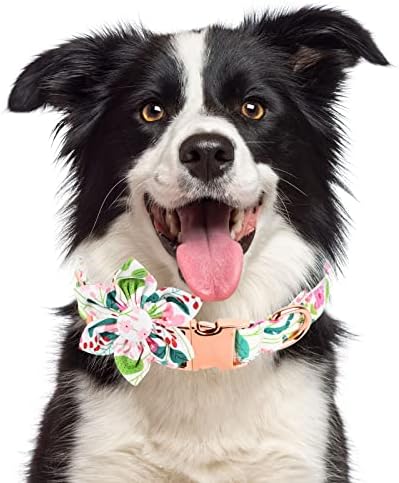 Sevimli Kız Köpek için Çiçekli Köpek Tasması, Ayarlanabilir Yavru Köpek Papyonu, Küçük Orta Büyük Köpekler ve Kediler için Papyon