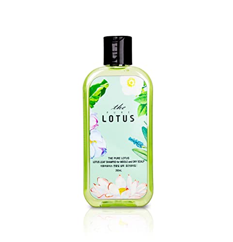 Orta ve Kuru ciltler için SAF LOTUS Lotus Yaprağı Şampuanı (260ml)