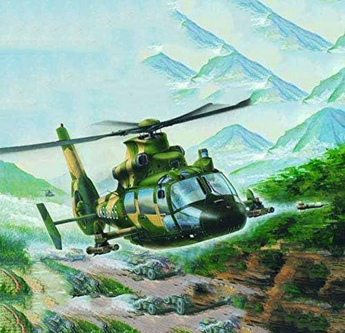 T-Oyuncak Helikopter Bulmaca Plastik Model Kitleri, 1/48 Ölçekli Z-9G Silahlı Helikopter Modeli, yetişkin Oyuncaklar ve Hediye,