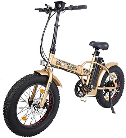 ECOTRİC Elektrikli Bisiklet 500 W Katlanabilir Ebike 20 Yağ Lastik Katlanır Elektrikli Bisiklet 48 V 13AH Lityum Pil Plaj Kar