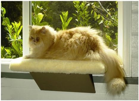 Gündelik Evcil Hayvan Ürünleri Kitty Pencere Levrek
