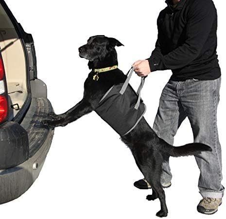 Dışa Hound Köpek Otomatik Vites-Köpek Araba Yükseltici Koltuk, Arka Koltukta Hamak, Seyahat için Asansör Koşum