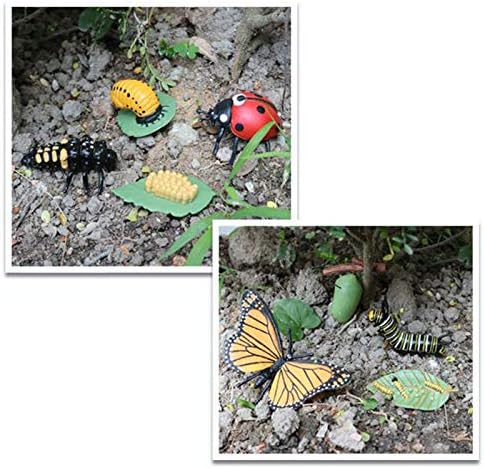 BARMİ Simülasyon Böcek Modeli Kelebek Büyüme Döngüsü Heykelcik Çocuk Eğitici Oyuncak, mükemmel Çocuk Entelektüel Oyuncak Hediye
