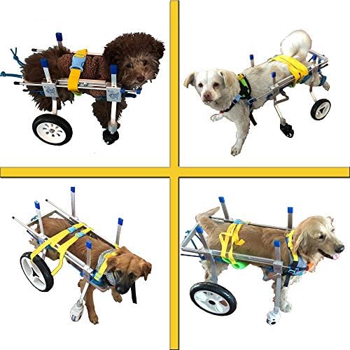 U / D HeoBam 4 Tekerlekli Ayarlanabilir Köpek Tekerlekli Sandalye, Evcil Hayvan Rehabilitasyon Arabası, Evcil Hayvan Tekerlekli