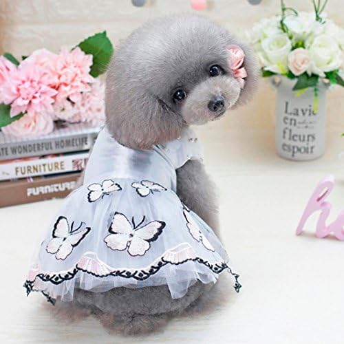 OOEOO Küçük Köpek Elbise Pet Giyim Kelebek İnci Gömlek Köpek Kedi Kostüm Yaz Etek