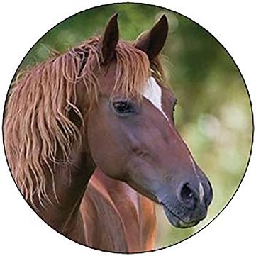 Kahverengi At Kafası Çıkartmaları-Hediye Çantası veya Zarf Mühürleri-At Hayvan Tema Kırtasiye Tasarımı - Parti İyilik Malzemeleri-24