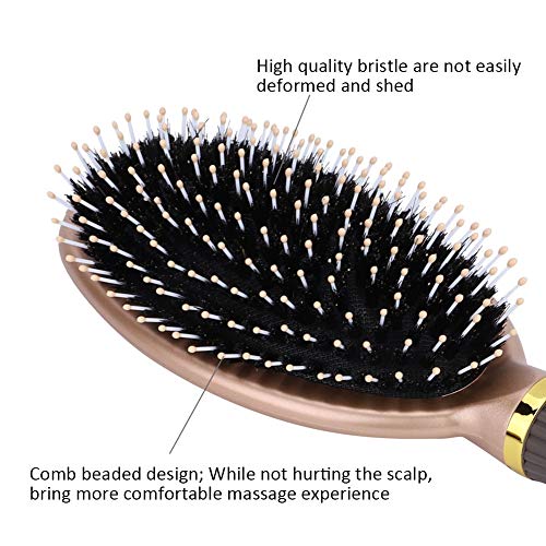 Saç Masajı Saç Tarağı, Aile ve Salon için Anti-Statik Saç Fırçası Aile Ve Salon için Şekillendirme Araçları ve Aletleri