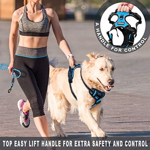 BARKBAY Hiçbir Çekme Köpek Koşum Yansıtıcı Köpek Koşum Büyük Adım ile Ön Klip ve Kolay Kontrol Kolu için Yürüyüş Eğitim Koşu